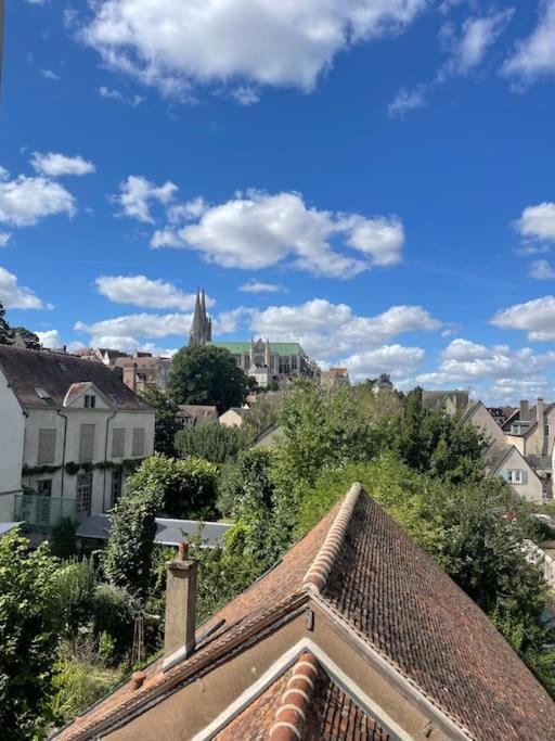 شقة Duplex Bord De L'Eure - Parking Inclus - Jolie Vue Sur La Cathedrale شارتر المظهر الخارجي الصورة